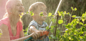 Regenwaterput-tuin-moestuin-renovatie